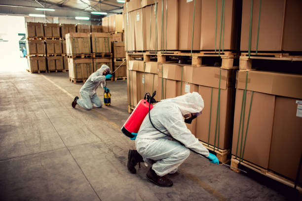 Best Pest Prevention Services  in Ellisville, MO