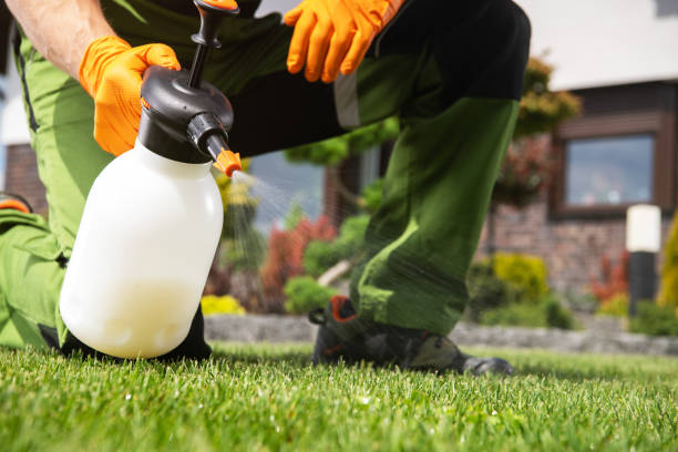 Best Cockroach Control Services  in Ellisville, MO
