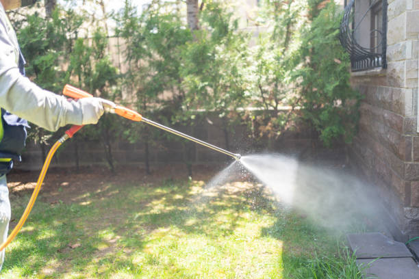 Spider Control Near Me in Ellisville, MO
